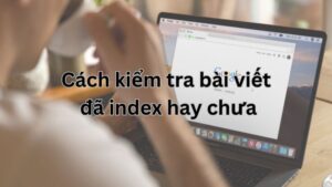 cách kiểm tra bài viết đã index hay chưa​