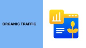 organic traffic là gì